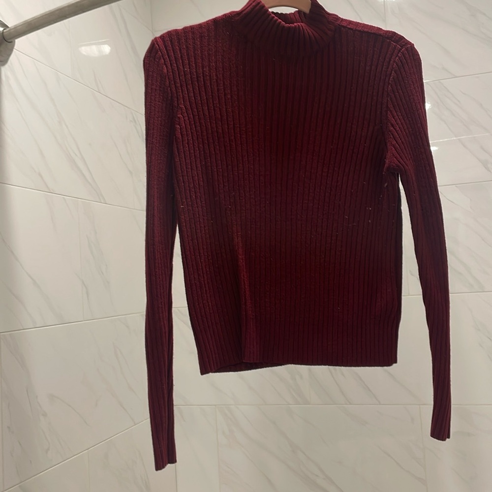 Maroon turtleneck cropped sweater